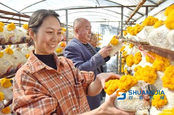 1685685655210725.jpg 09-26-15-65-283825.jpg